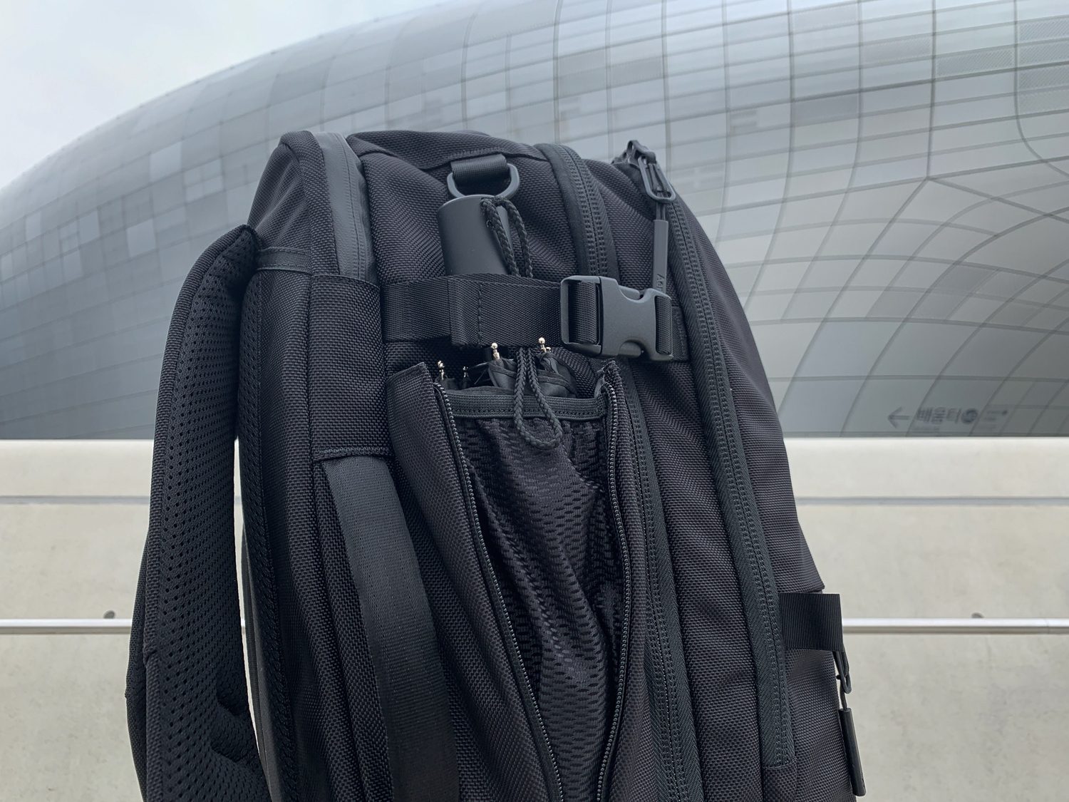 Aer Travel Pack 2 Review - Alex Kwa