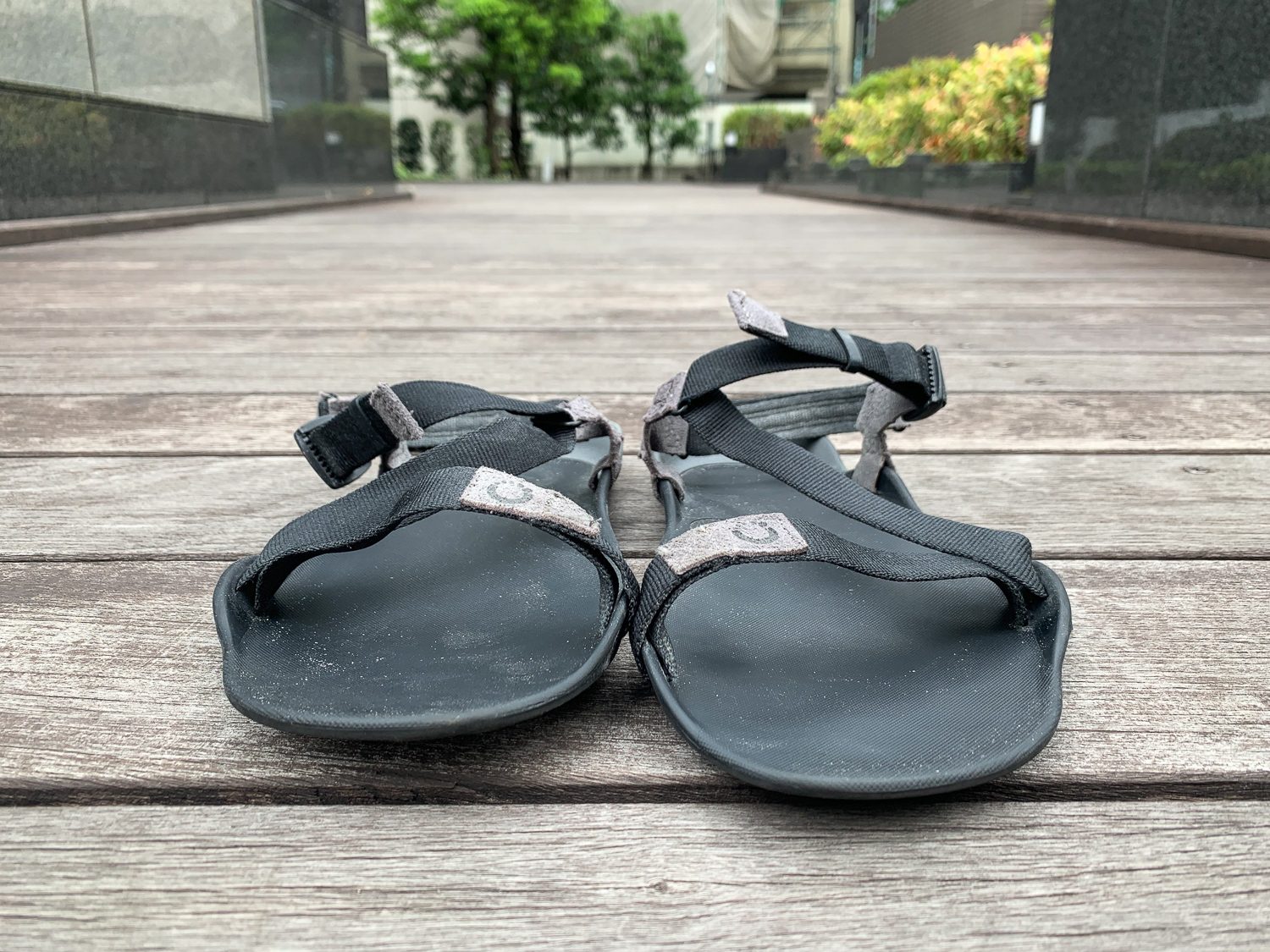 Review: Z-Trail - The Ultimate Sport Sandal - Kids - Happy Barefoot