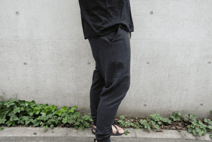 SEAGALE Merino Joggers Review - Alex Kwa